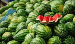 全国各地吃瓜爆料资源,吃瓜爆料一网打尽