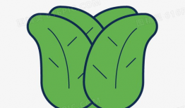 菠菜漫画,趣味横生的日常生活趣事